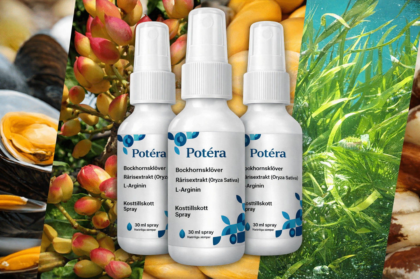 Potera