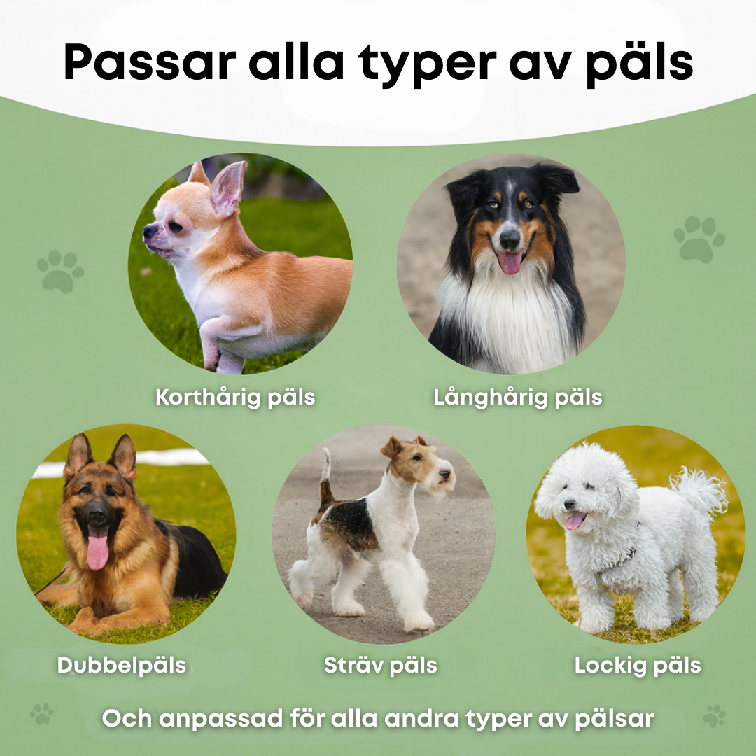 SheddyPet™ – Hundborste som stoppar fällning och håller ditt hem rent