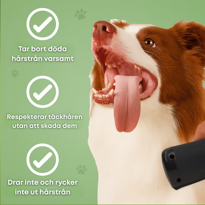SheddyPet™ – Hundborste som stoppar fällning och håller ditt hem rent