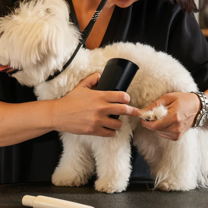 SheddyPet™ – Hundborste som stoppar fällning och håller ditt hem rent