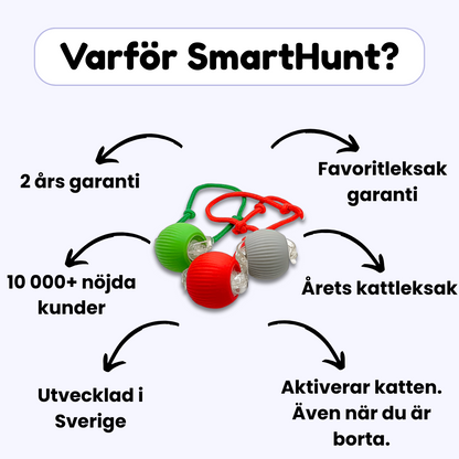 SmartHunt