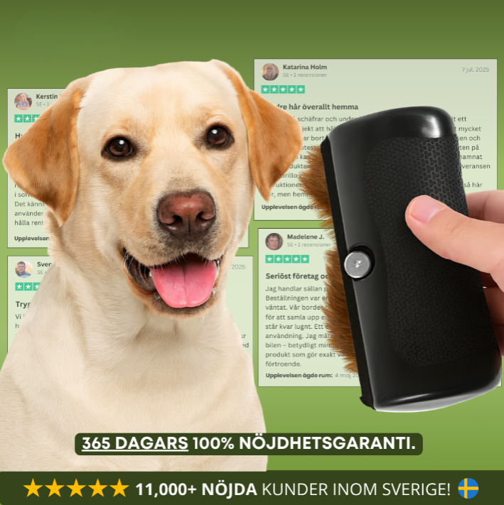 SheddyPet™ – Hundborste som stoppar fällning och håller ditt hem rent